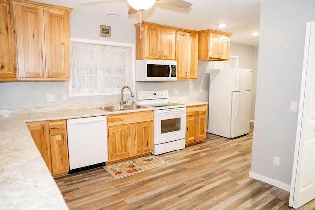 kitchen featuring ceiling fan, light hardwood / wood-style floors, white appliances, and sink