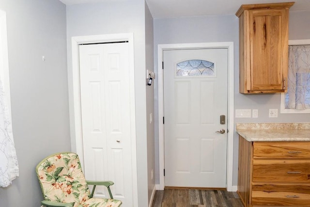 doorway to outside featuring dark hardwood / wood-style floors