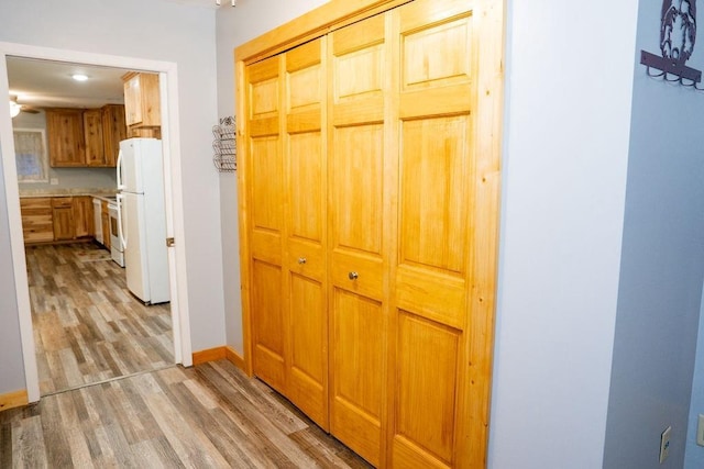 hall featuring light hardwood / wood-style flooring