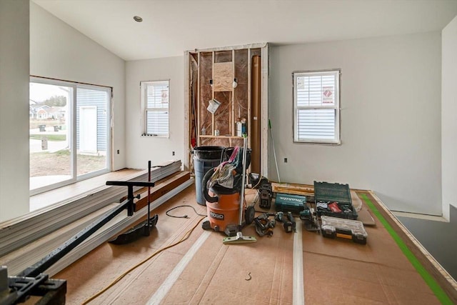 miscellaneous room featuring a healthy amount of sunlight and vaulted ceiling