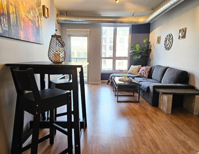 living room featuring wood-type flooring