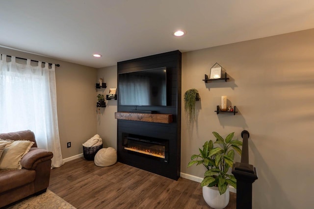 living room featuring a large fireplace and dark wood-type flooring