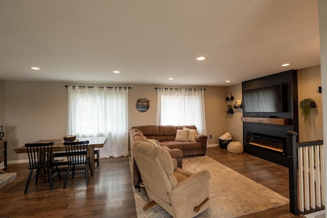 living room featuring a large fireplace and dark wood-type flooring