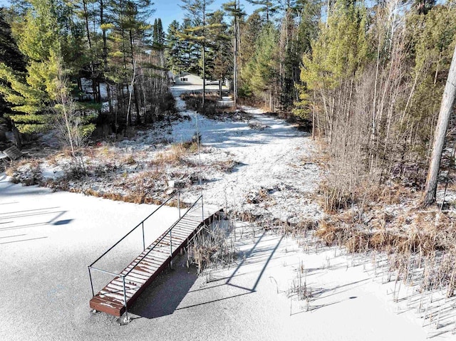 view of yard covered in snow