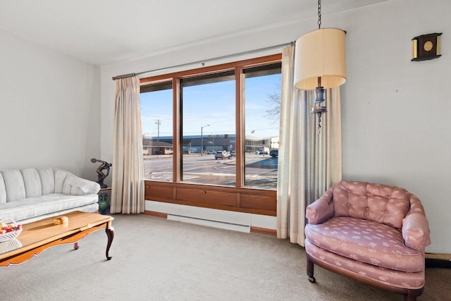 sitting room with carpet