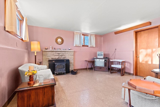 living room with a wood stove