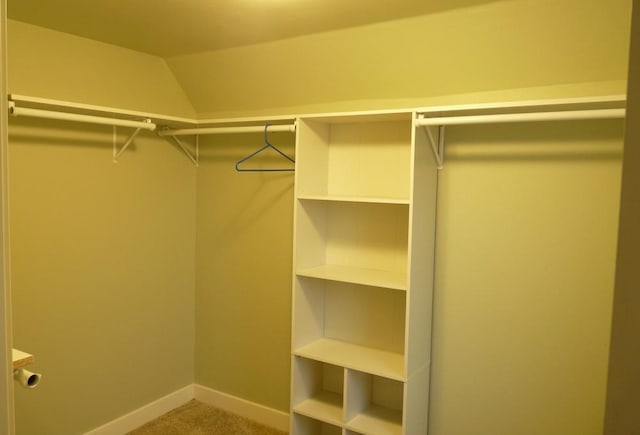 spacious closet featuring carpet flooring and vaulted ceiling