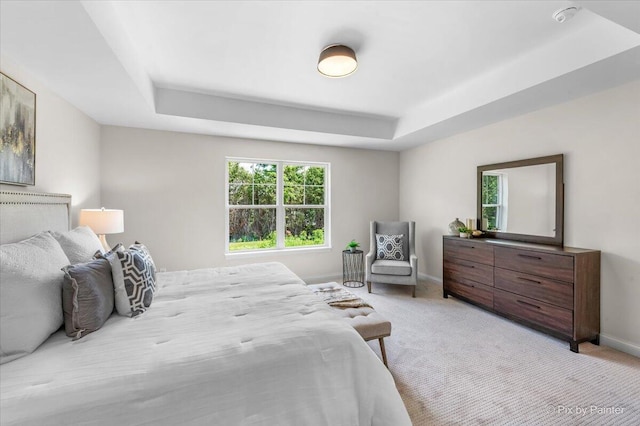 carpeted bedroom featuring a tray ceiling