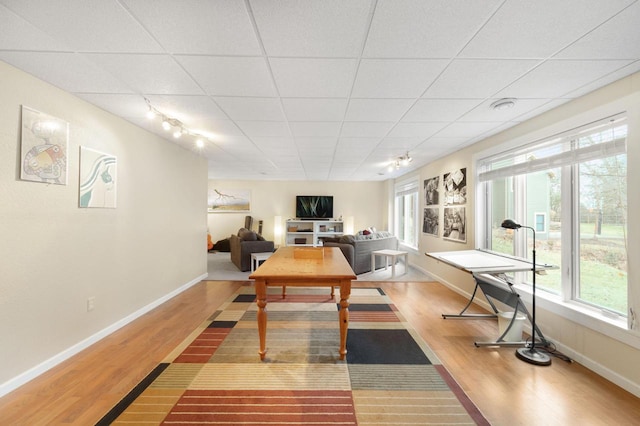 recreation room featuring hardwood / wood-style floors and a paneled ceiling