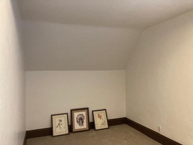 additional living space with vaulted ceiling