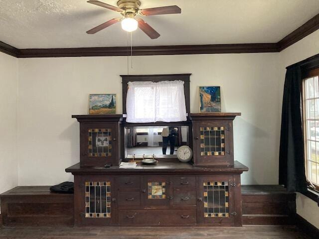 bar featuring ceiling fan, dark hardwood / wood-style flooring, dark brown cabinetry, and crown molding