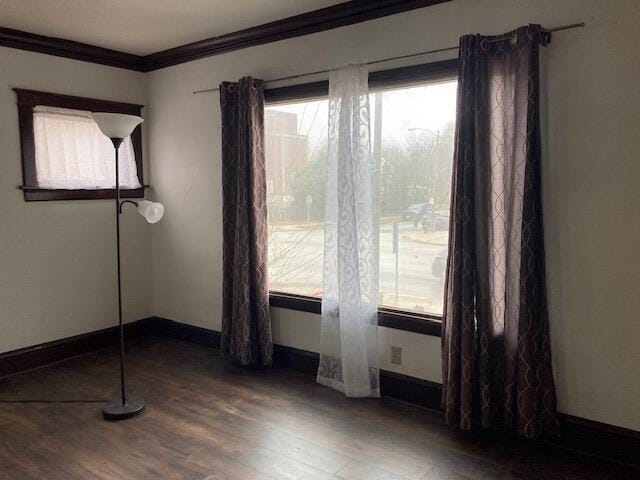 spare room featuring crown molding and wood-type flooring