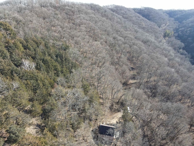 drone / aerial view with a mountain view