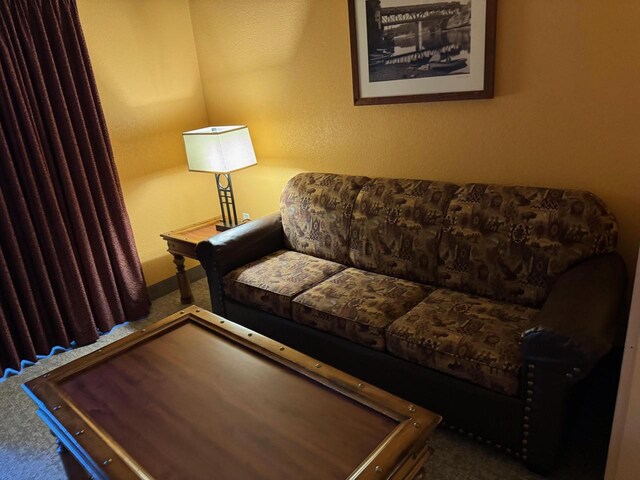 living room with dark colored carpet