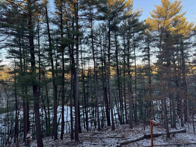 view of local wilderness