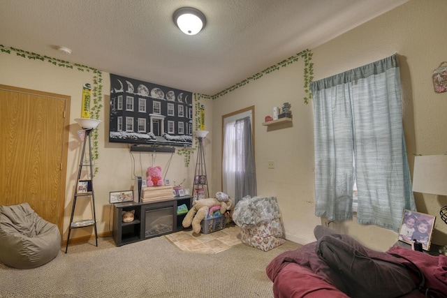 interior space with carpet flooring and a textured ceiling