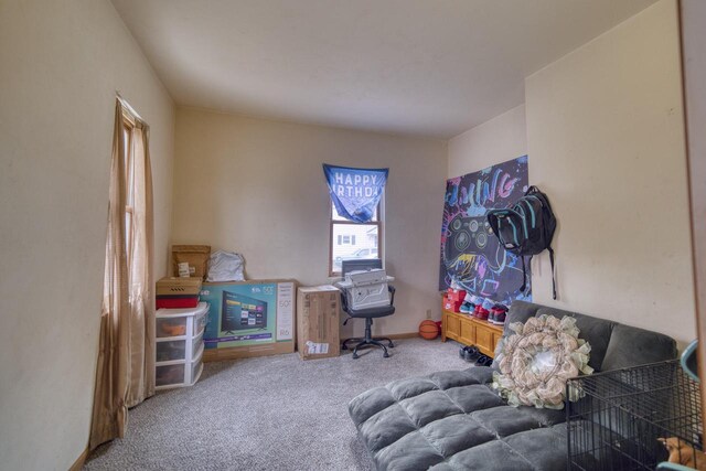 playroom with light colored carpet