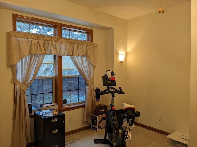 exercise room with light carpet