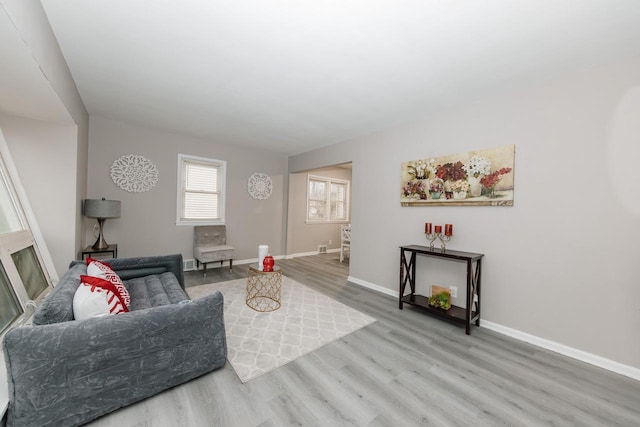 living room with wood-type flooring