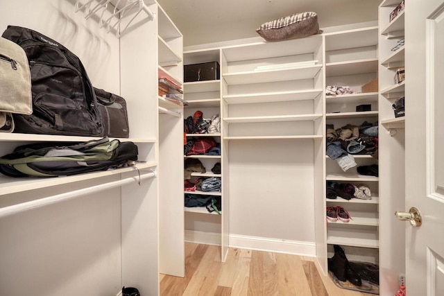 spacious closet featuring light wood-type flooring