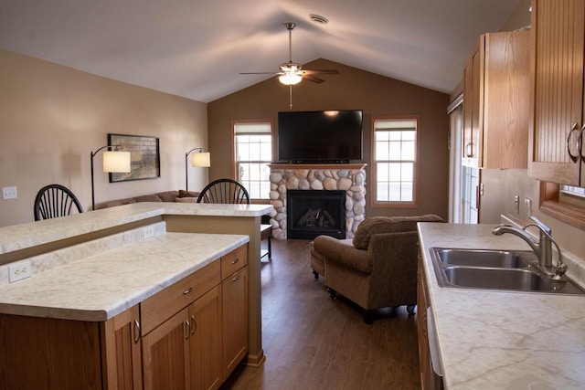 kitchen with plenty of natural light, dark hardwood / wood-style flooring, lofted ceiling, and sink