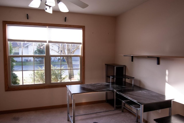 unfurnished office with ceiling fan and light colored carpet