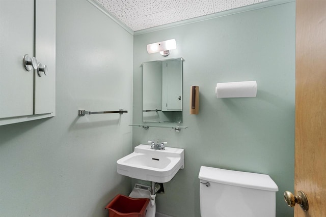 bathroom with a drop ceiling and toilet