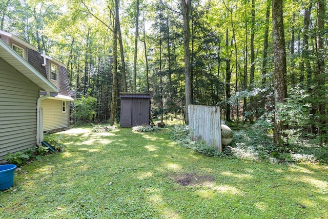 view of yard with a storage shed