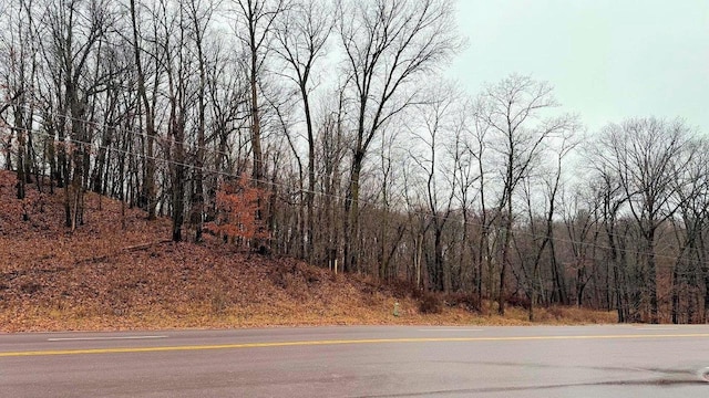 LOTS1-2 County Road A, Wisconsin Dells, WI 53965