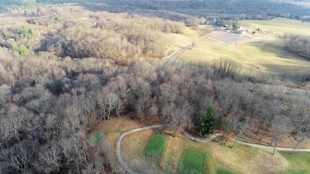 LOTS1-2 County Road A, Wisconsin Dells, WI 53965