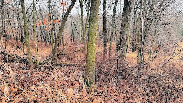 LOTS1-2 County Road A, Wisconsin Dells, WI 53965