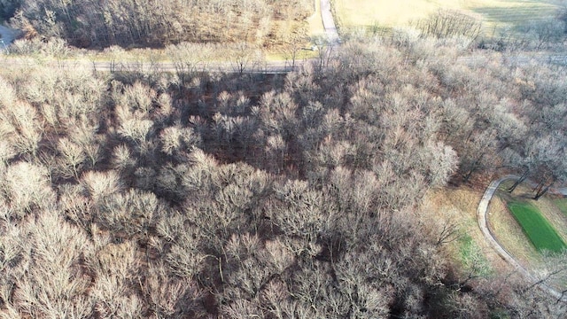 LOTS1-2 County Road A, Wisconsin Dells, WI 53965