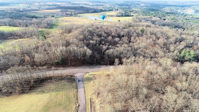LOTS1-2 County Road A, Wisconsin Dells, WI 53965