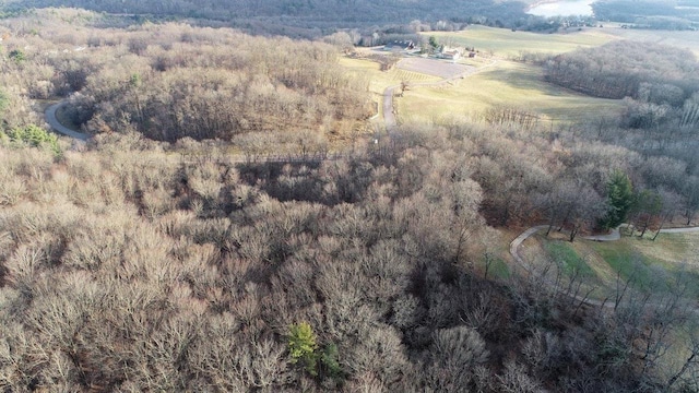 LOTS1-2 County Road A, Wisconsin Dells, WI 53965