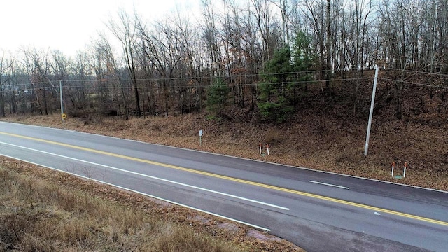 LOTS1-2 County Road A, Wisconsin Dells, WI 53965
