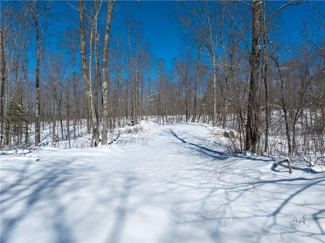 LOT15 Nova Rd, Hayward, WI 54843