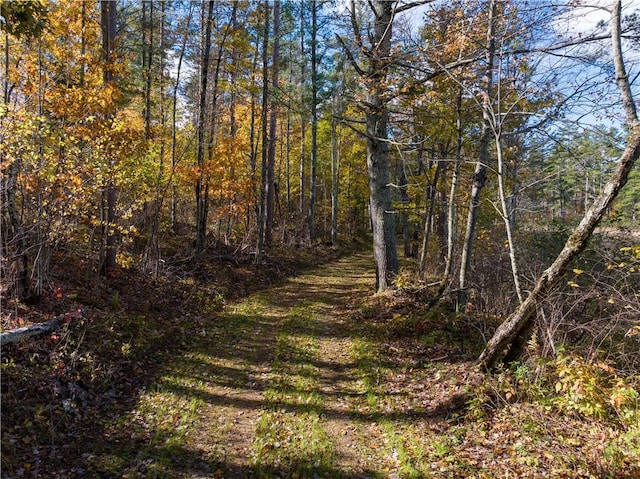 LOT15 Nova Rd, Hayward, WI 54843