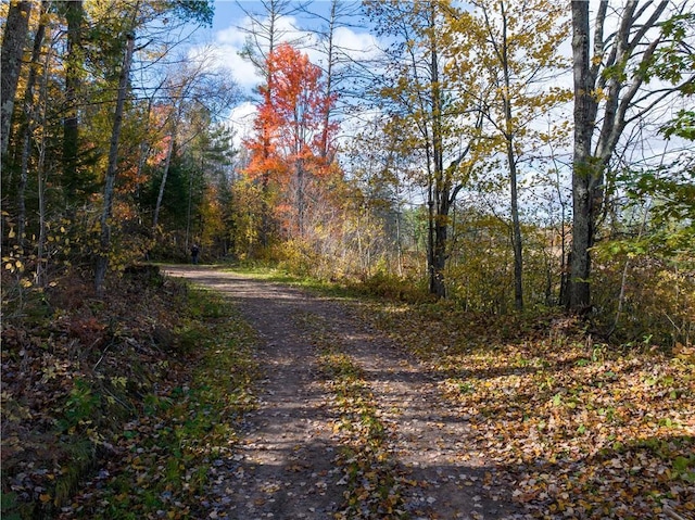 LOT15 Nova Rd, Hayward, WI 54843