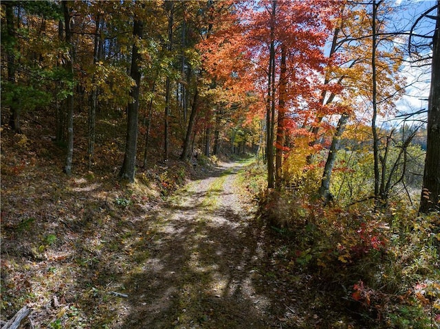 LOT15 Nova Rd, Hayward, WI 54843