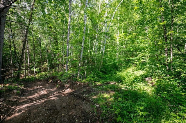 LOT15 Nova Rd, Hayward, WI 54843