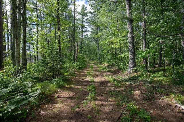 LOT15 Nova Rd, Hayward, WI 54843
