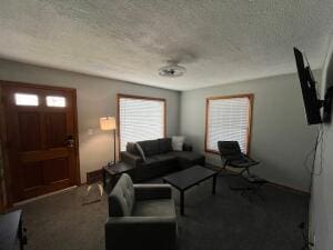 living room with carpet and a textured ceiling