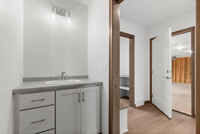 bathroom with vanity and wood-type flooring