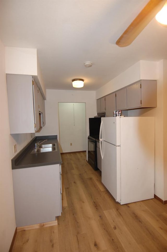 kitchen with sink, white fridge, light hardwood / wood-style flooring, and gray cabinets