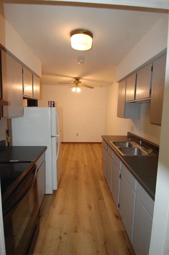 kitchen with sink, ceiling fan, light wood-type flooring, gray cabinets, and black range with electric stovetop