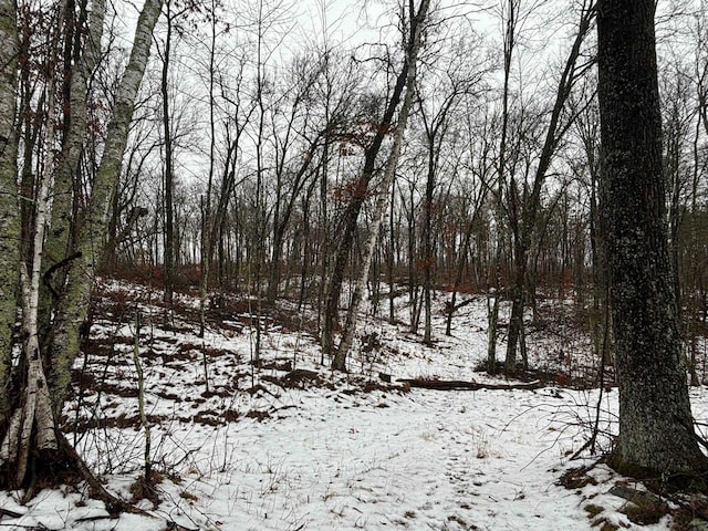 Bennett Rd, Amberg, WI 54102