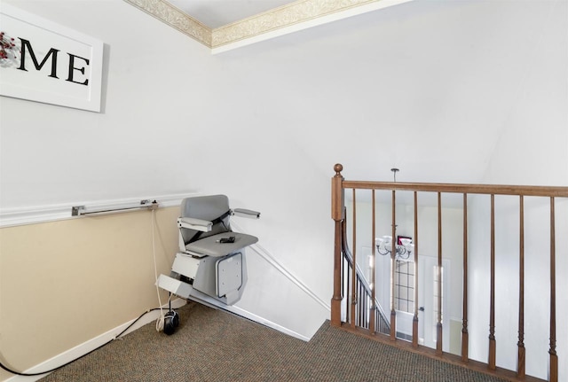 miscellaneous room featuring carpet floors