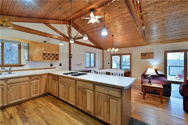 kitchen with plenty of natural light, light wood-type flooring, and sink