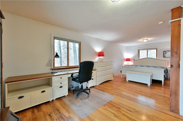 bedroom with light hardwood / wood-style flooring