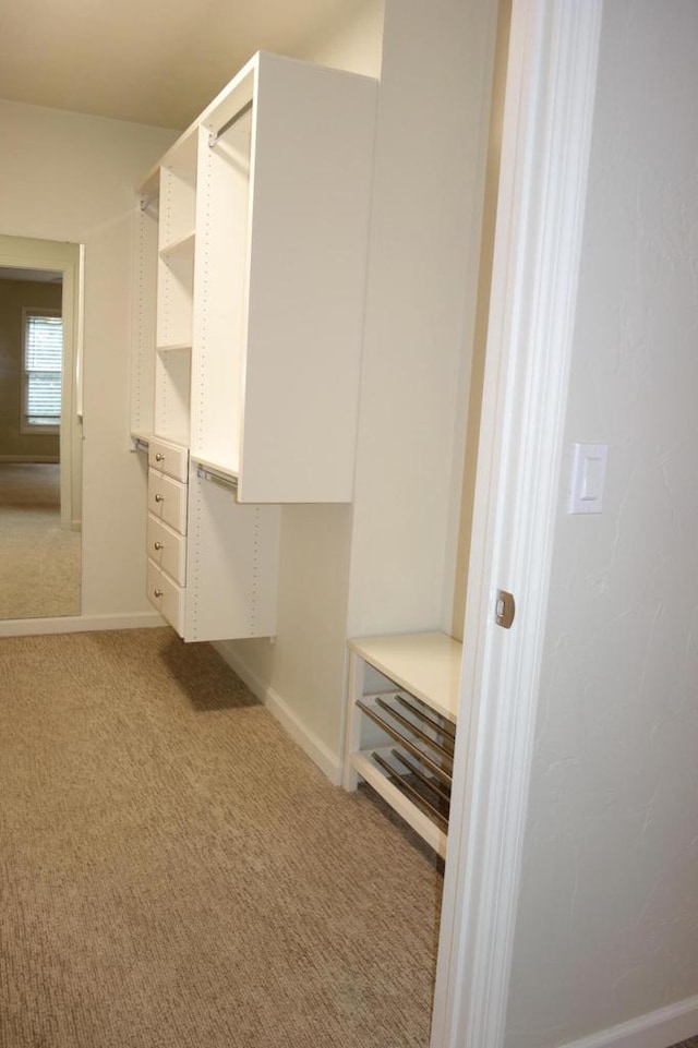 walk in closet featuring carpet floors